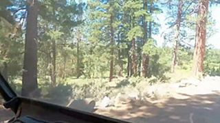 Blondefoxsilverfox Blondefoxsilverfox 148