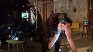 Animal Enculando A Julia