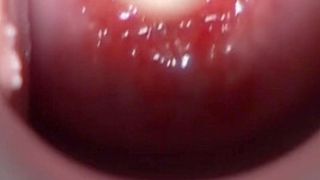 Oiled teeny gapes and masturbate her wet and shaved snatch