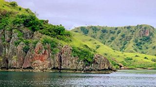 My Trip To Komodo Island Vol1 - Sex Movies Featuring Katya-Clover