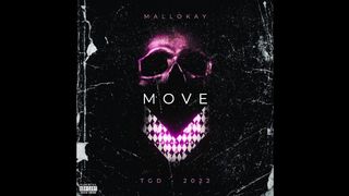 Hip Hop Artist Destroys Fresh Beat (Mallokay - Move)