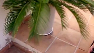 Liz Rainbow In Beautiful Amoral Teenie Thrilling Xxx Clip