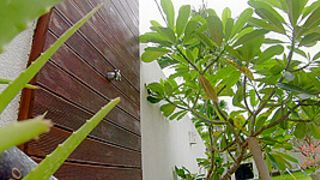 Morning Glory - Sex Movies Featuring Katya-Clover