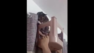 Teen Pussy Compilation (feat. Ailow - Rainy Days)