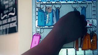 Free Premium Tape Wild Holiday - Blonde Set Of