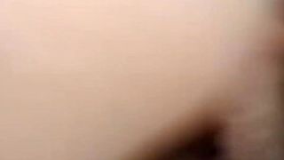 My Evening Routine With The Stallion