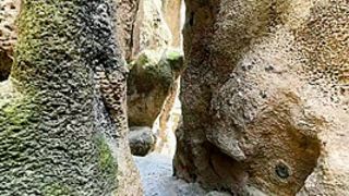 Proxy Paige & Tabitha Poison & Misha Maver in BTS-DP Devils