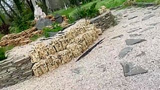 Mamada En Un Parque Publico