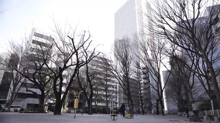 Japanese Angel 12229