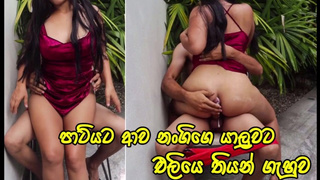 පාටියේ කෙල්ලට එලියෙ ගැහුවා Sri Lankan Risky Outdoor Public fuck with the slut who came to the PARTY