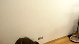 Sirena Sirena - Diving My Throat