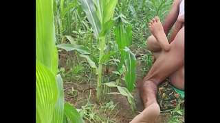 Bhabhi ko Devar ka kala mota Lund aaya pasand makai Ke khet me bhabhi ki chudai outdoor hindi audio