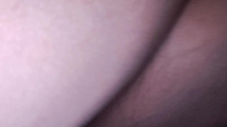 morning cream-pie by my cuck-old and night creampied by my bull