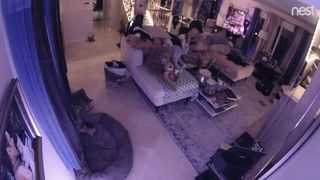 Gorgeous French Teen Babysitter Riding and getting Pounded by Tattooed Man