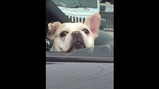 Young Teen Finds True Soul Mate