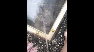 MERRY XMAS Pissing on my Neighborn Roof