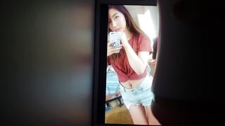 Xchocobars (janet) Cum Tribute