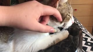 Caressing my Pussy on a Hot Summer Day