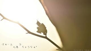 【endhumion’s 1st Song】こんにちは、恋心。-short Size-