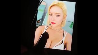 Cumtribute to Hottest K-POP Girl Group - Laysha